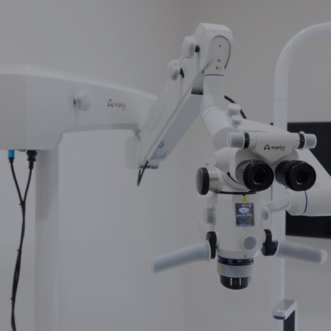 VPT（歯髄温存療法）
